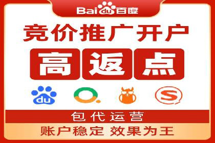 百度竞价公司成功案例：如何实现ROI最大化